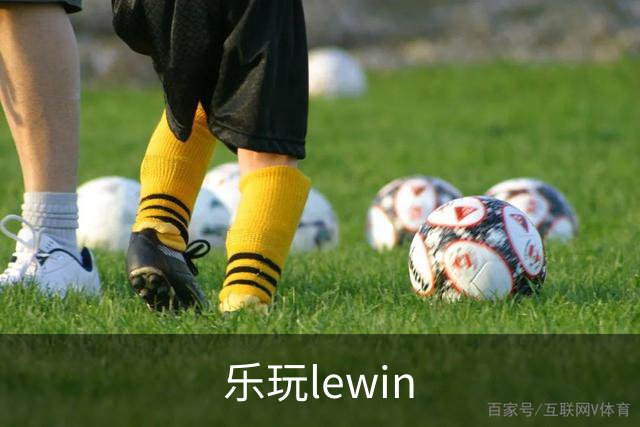 乐玩lewin公司简介展示图